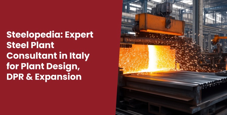 Steel Plant Consultant in Italy