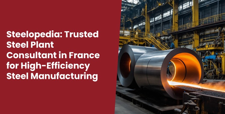 Steel plant consultant in France improving manufacturing efficiency